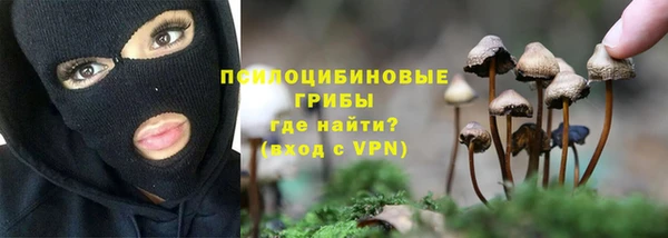 мет Алексин